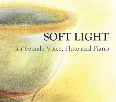 Soft-Light-Cover