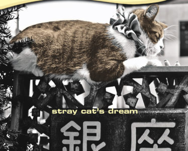 Stray Cat's Dream_1 page